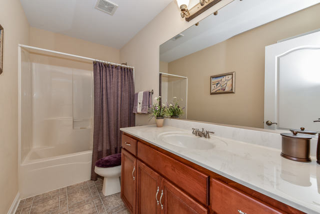 26662 Lindengate Cir, Plainfield, IL 60585 photo 18