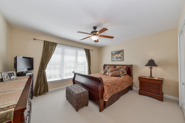 26662 Lindengate Cir, Plainfield, IL 60585 photo 20