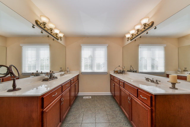 26662 Lindengate Cir, Plainfield, IL 60585 photo 16