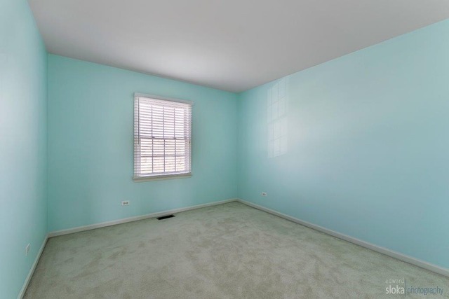 1 Wintergreen Ct, Algonquin, IL 60102 photo 22