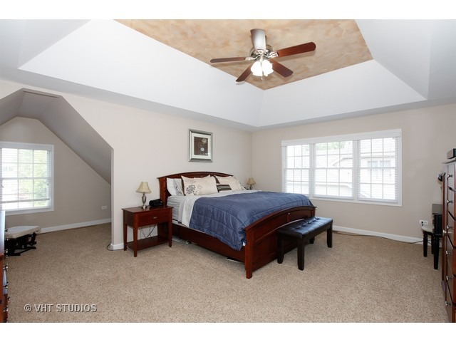 12625 Coreopsis Ct, Plainfield, IL 60585 photo 12