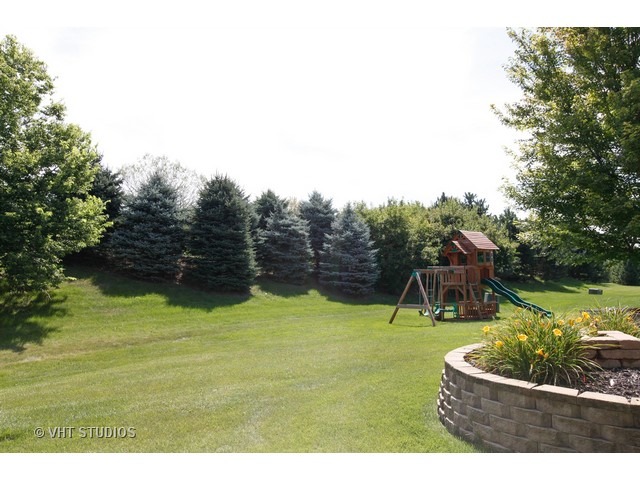 12625 Coreopsis Ct, Plainfield, IL 60585 photo 20