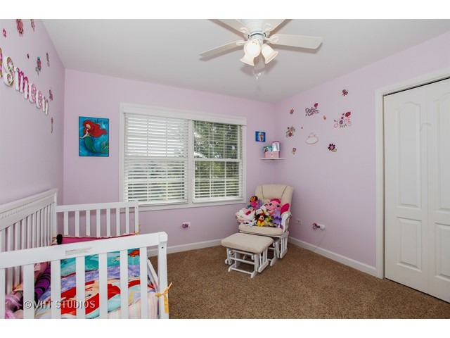12625 Coreopsis Ct, Plainfield, IL 60585 photo 14