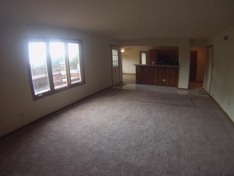 19600 Everett Ln, Mokena, IL 60448 photo 8