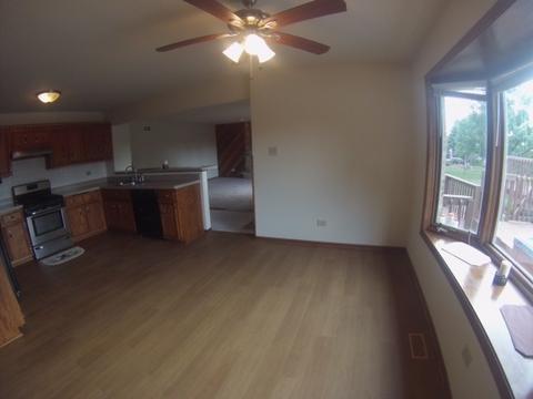 19600 Everett Ln, Mokena, IL 60448 photo 7