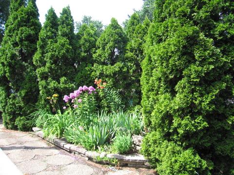 404 S Pine St, Mount Prospect, IL 60056 photo 24