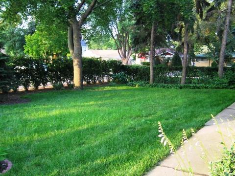 404 S Pine St, Mount Prospect, IL 60056 photo 23