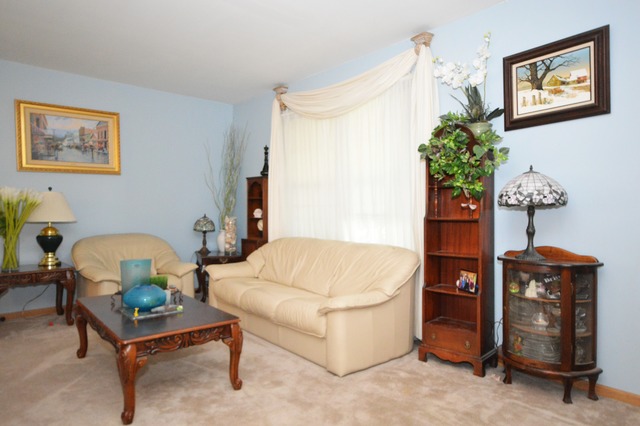 1300 Brookfield Dr, Plainfield, IL 60586 photo 4