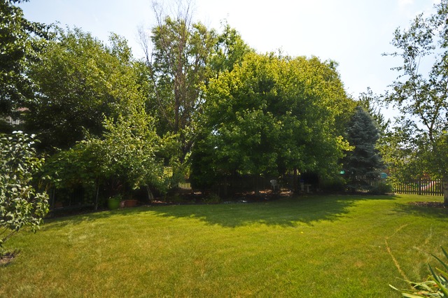 1300 Brookfield Dr, Plainfield, IL 60586 photo 22