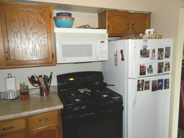 185 Gregory St #10, Aurora, IL 60504 photo 6