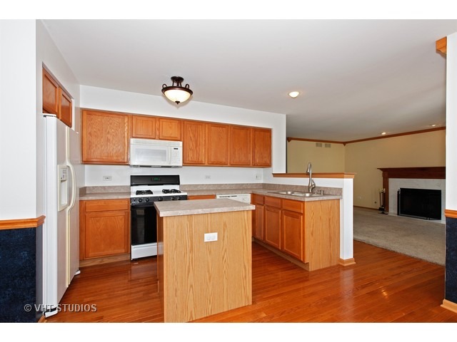14552 Etchingham Dr, Lockport, IL 60441 photo 4