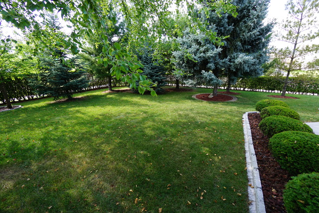 4602 Mallard Ln, Plainfield, IL 60586 photo 19