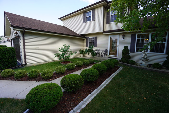 4602 Mallard Ln, Plainfield, IL 60586 photo 2