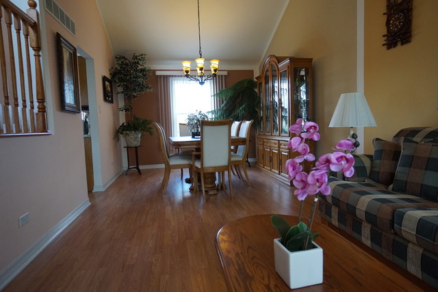 4602 Mallard Ln, Plainfield, IL 60586 photo 5