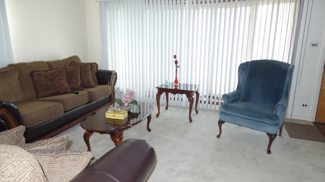 453 N Forest Ave, Hillside, IL 60162 photo 5