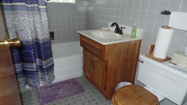 453 N Forest Ave, Hillside, IL 60162 photo 11