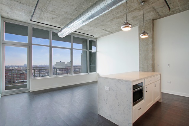 50 E 16th St #710, Chicago, IL 60616 photo 3