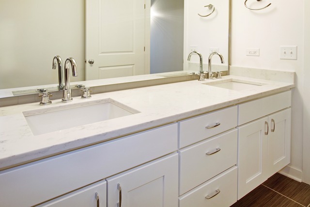 50 E 16th St #710, Chicago, IL 60616 photo 6