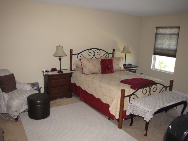 14601 Independence Dr, Plainfield, IL 60544 photo 9