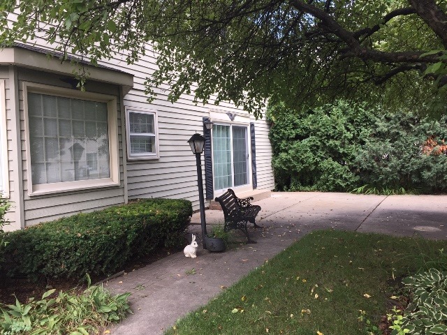1125 Captains Ln, Wheeling, IL 60090 photo 10