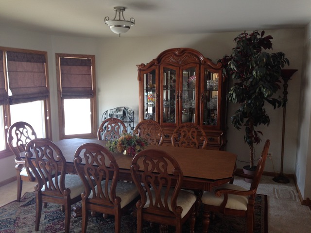 249 Aspen Dr, Beecher, IL 60401 photo 5