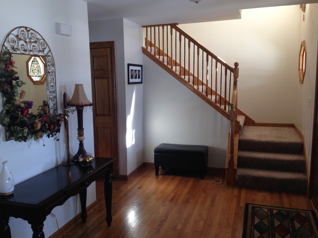249 Aspen Dr, Beecher, IL 60401 photo 6