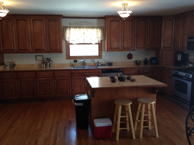 249 Aspen Dr, Beecher, IL 60401 photo 2