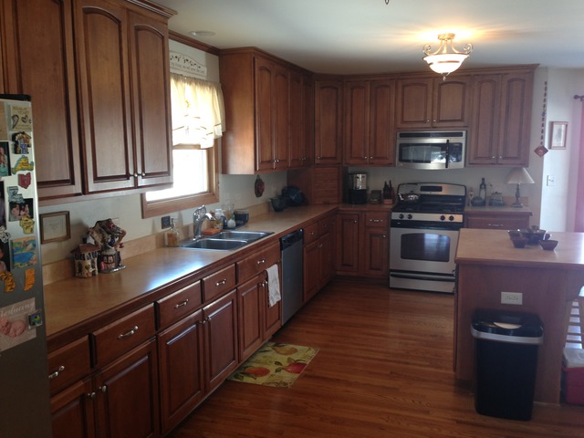 249 Aspen Dr, Beecher, IL 60401 photo 3