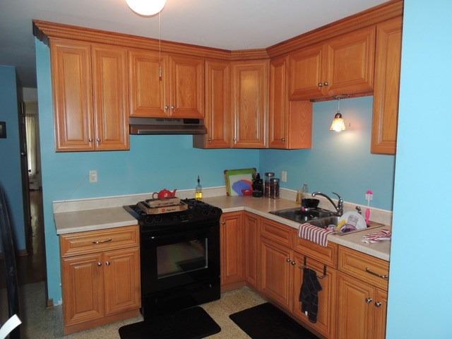 434 W Edwards Ave, West Dundee, IL 60118 photo 10