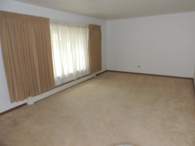 434 W Edwards Ave, West Dundee, IL 60118 photo 5