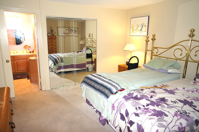 2501 Central St #4E, Evanston, IL 60201 photo 15