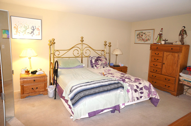 2501 Central St #4E, Evanston, IL 60201 photo 14