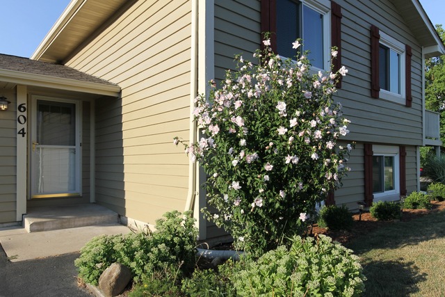 604 W Wegner Rd, Mchenry, IL 60051 photo 19