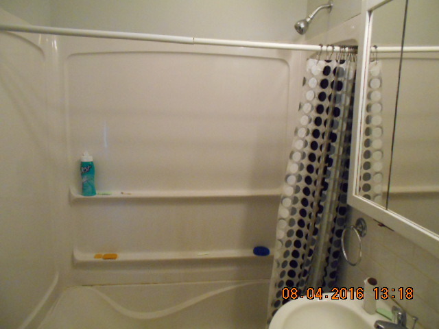 400 W Devlin St, Spring Valley, IL 61362 photo 9