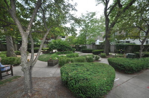 1402 E 54th St, Chicago, IL 60615 photo 14