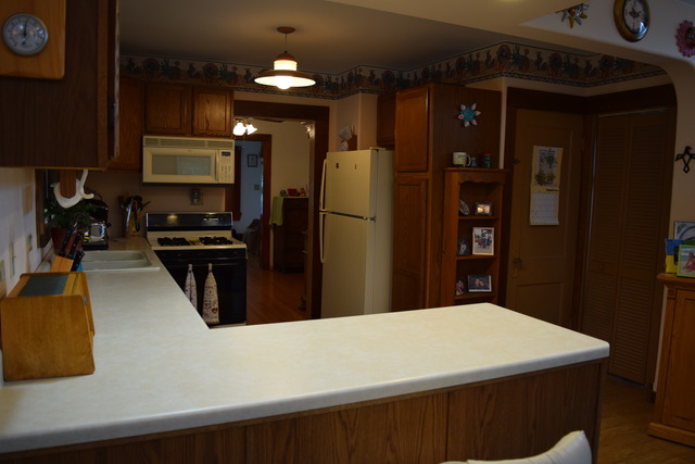 131 N Elroy Ave, Bartlett, IL 60103 photo 8