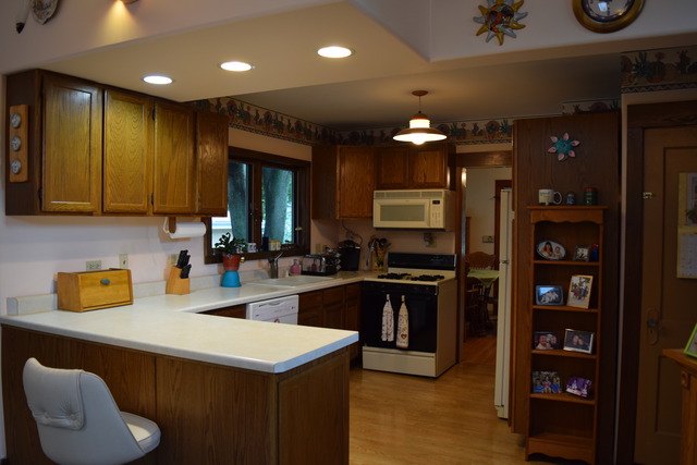 131 N Elroy Ave, Bartlett, IL 60103 photo 7