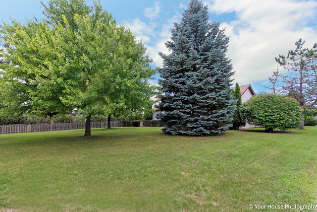 202 S Katie Ln, Mchenry, IL 60050 photo 22