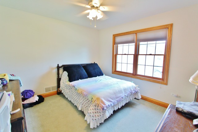17280 Brisbin Rd, Minooka, IL 60447 photo 20