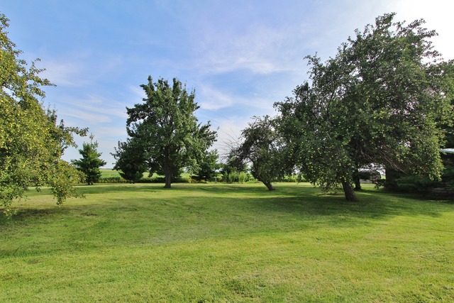 17280 Brisbin Rd, Minooka, IL 60447 photo 7