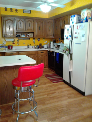 566 Ambleside Rd, Des Plaines, IL 60016 photo 6