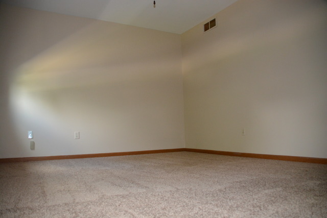 612 E Walnut St, Peotone, IL 60468 photo 9