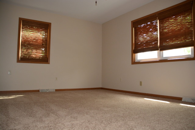 612 E Walnut St, Peotone, IL 60468 photo 11