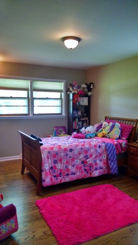 715 Konen Ave, Aurora, IL 60505 photo 8