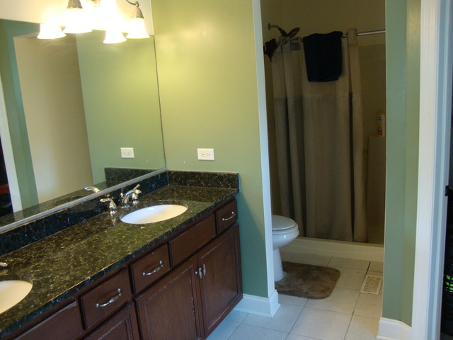 2011 E Gaisor Dr, Crete, IL 60417 photo 7