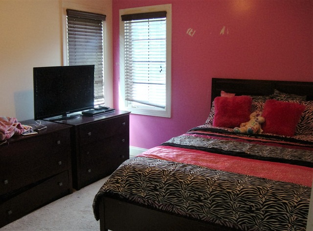 2011 E Gaisor Dr, Crete, IL 60417 photo 9