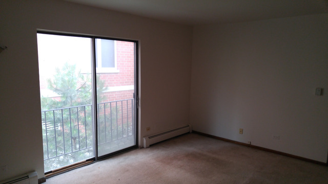 1650 Mill St #203, Des Plaines, IL 60016 photo 5