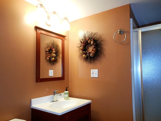 180 Boulder Ct, Gilberts, IL 60136 photo 19