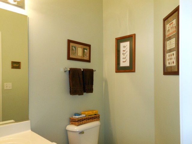 180 Boulder Ct, Gilberts, IL 60136 photo 14