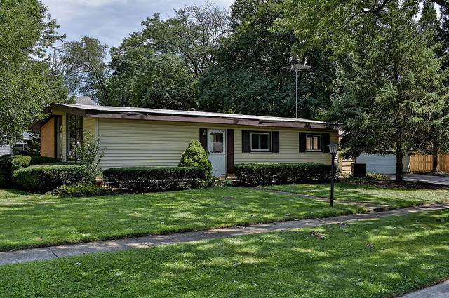 115 W Jeffery Ave, Wheeling, IL 60090 photo 4